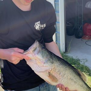 Meet your Posher, Clayton